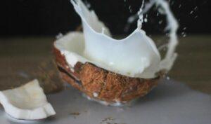 Kookosmaito terveellisyys