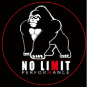 No Limit Performance logo