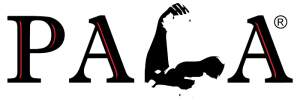 Palafys Oy logo